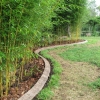 Almaville Bamboo Co.